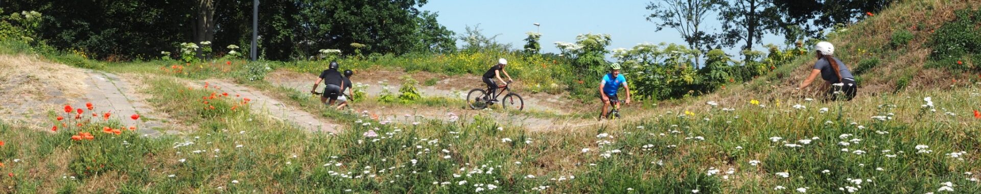 Fietsers mountainbiken op het parcours naast het sportpaleis. Bloemen in de voorgrond.